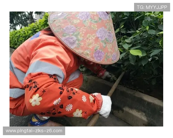 尊龙官方app官网入口下载安装教程，详细操作步骤全方位指导